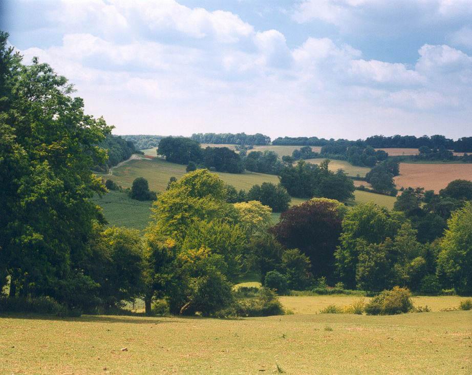 Countryside landscape with trees and fields